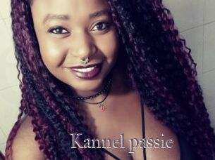Kannel_passie