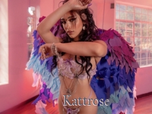 Kattrose