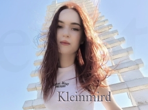 Kleinmird