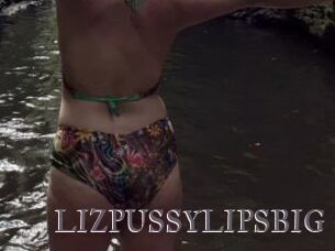 LIZPUSSYLIPSBIG