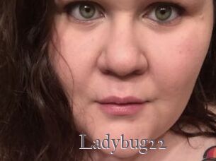 Ladybug22