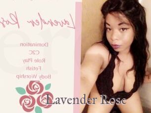 Lavender_Rose