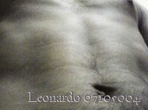 Leonardo-07105004