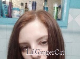 LilGingerCat