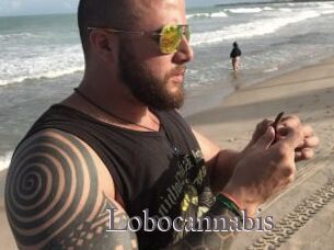 Lobocannabis