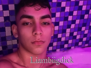 Liambiigdick