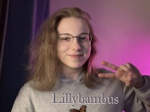 Lillybambus