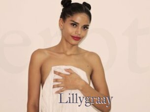 Lillygraay