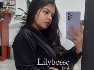 Lilybosse