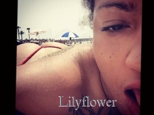 Lilyflower