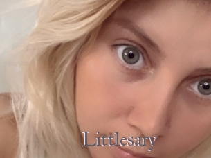 Littlesary