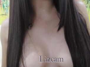 Lizcam