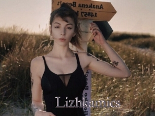 Lizhkamics