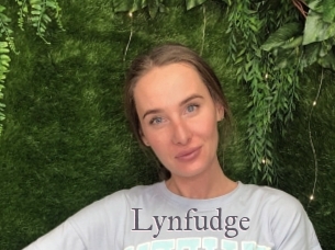 Lynfudge