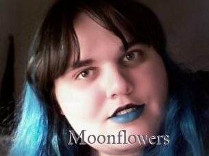 Moonflowers