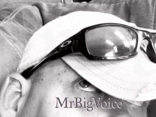 MrBigVoice