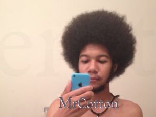 MrCotton