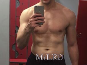 MrLEO