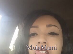 MulaMami