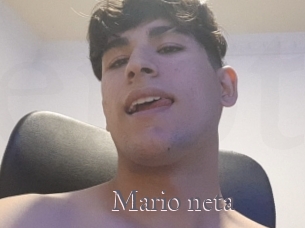 Mario_neta