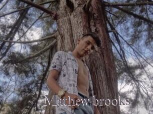 Mathew_brooks