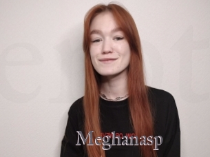 Meghanasp