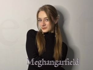 Meghangarfield