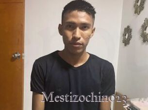 Mestizochino23