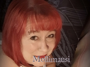 Mollimausi