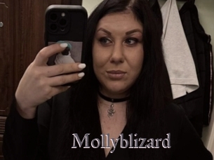 Mollyblizard