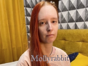 Mollyrabbit