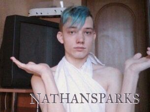 NATHAN_SPARKS