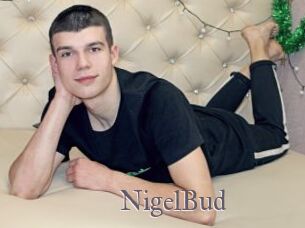 NigelBud