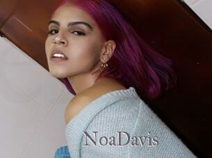 NoaDavis