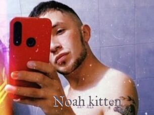 Noah_kitten