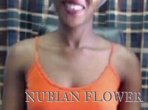 _NUBIAN_FLOWER_