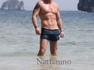Nattenino