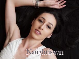 Naughtiswan