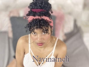 Nayinameli