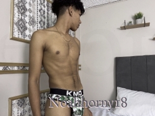 Noahhorny18