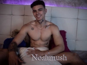 Noahmush