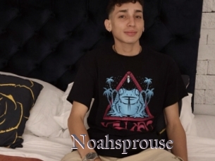 Noahsprouse