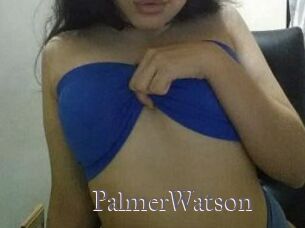 PalmerWatson