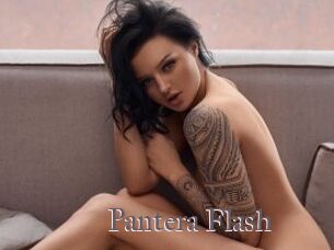 Pantera_Flash