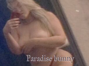 Paradise_bunny