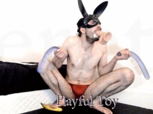 Playful_Toy