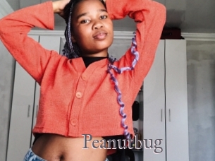 Peanutbug