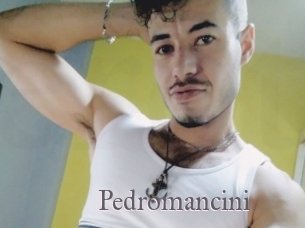 Pedromancini