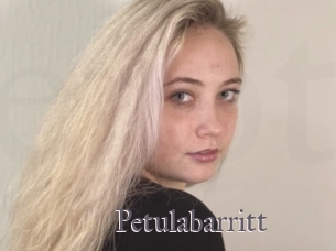 Petulabarritt