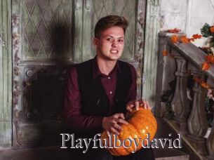 Playfulboydavid